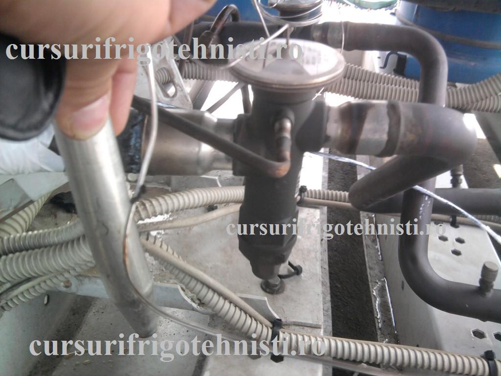 Fotografie0061 (Custom).jpg