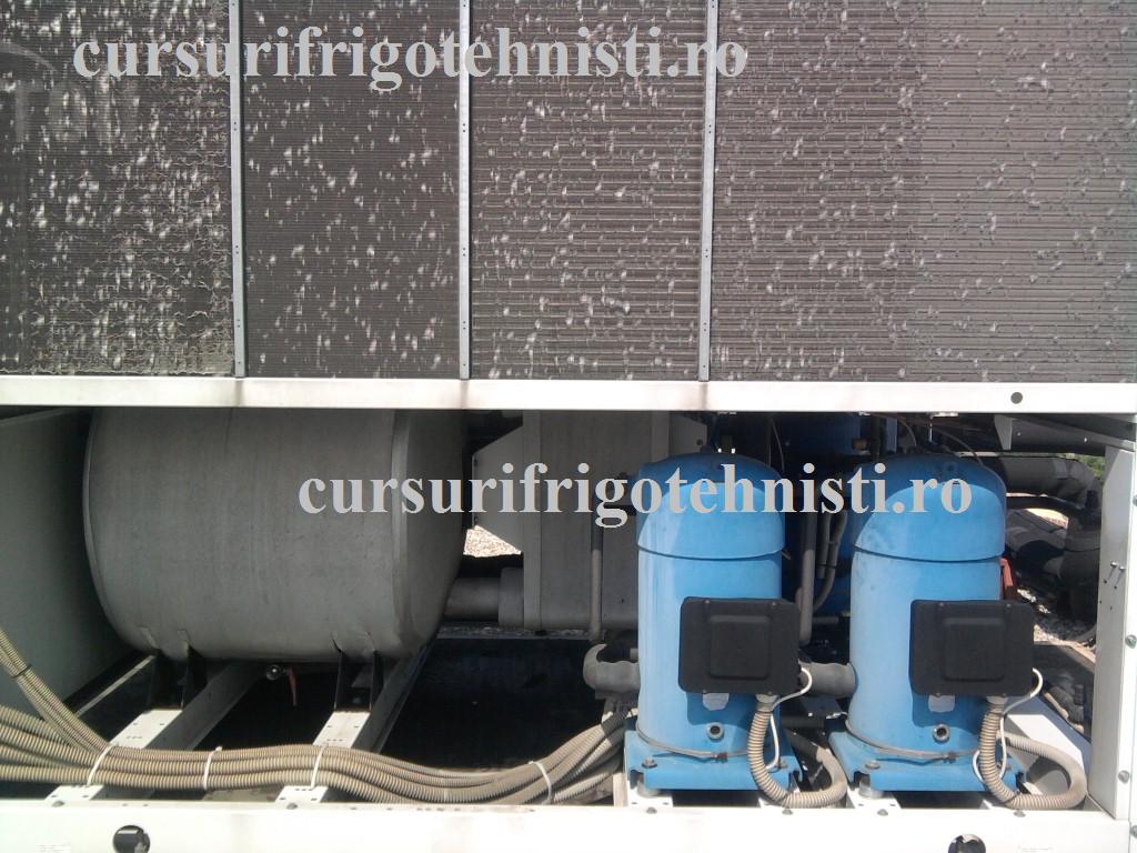 Fotografie0056 (Custom).jpg