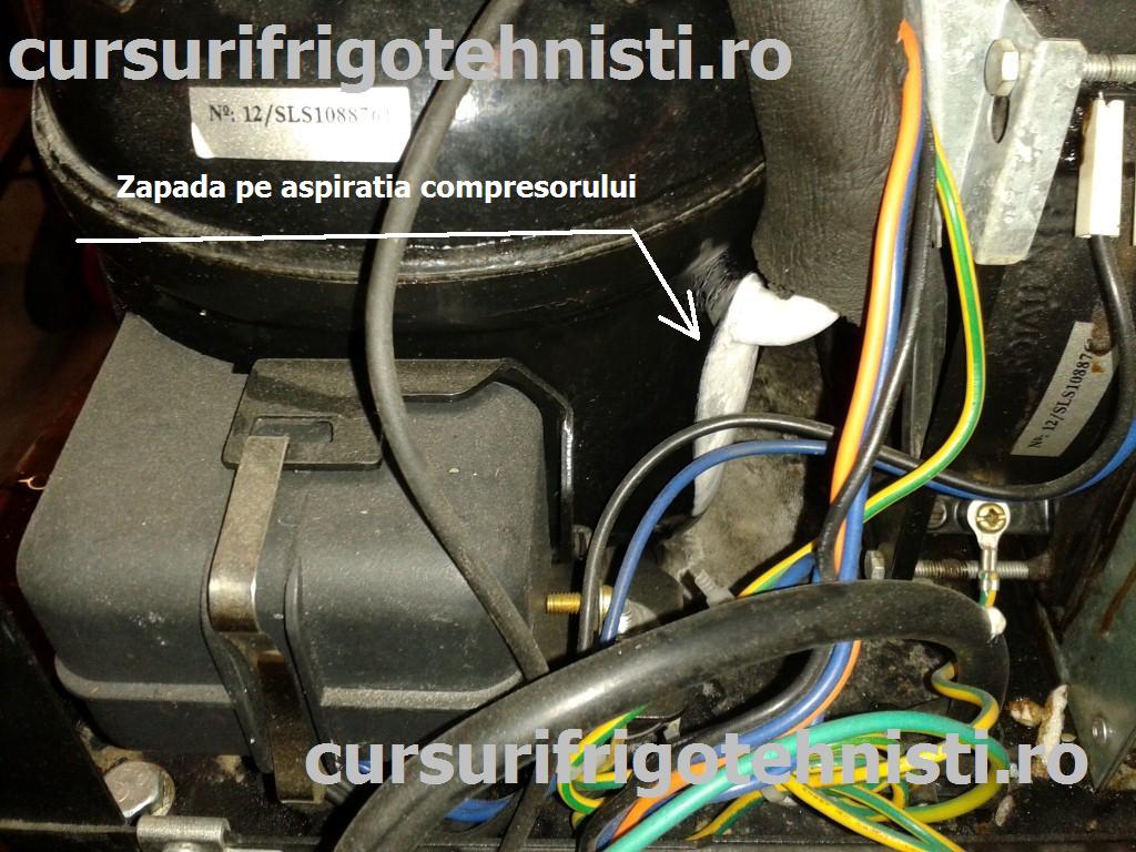 20150603_155027 (Custom).jpg