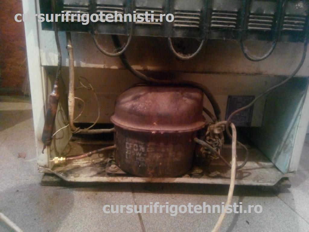 IMG_20150502_163328 (Custom).jpg