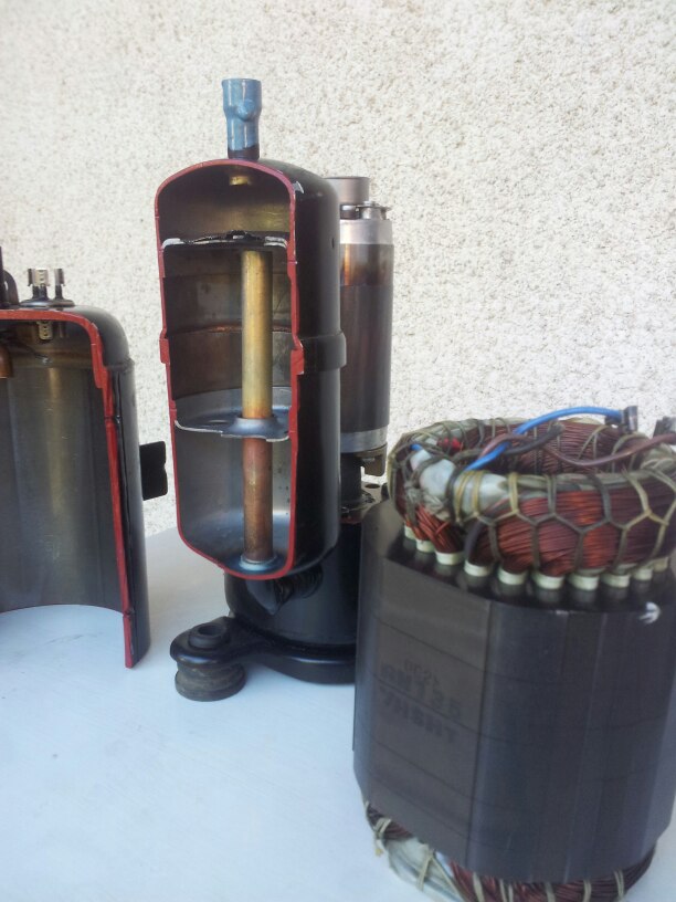 311953224_844764066718148_6584350261751883246_n (1).jpg