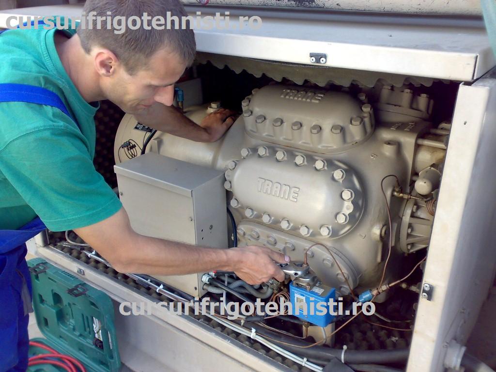 08052012204 (Custom).jpg