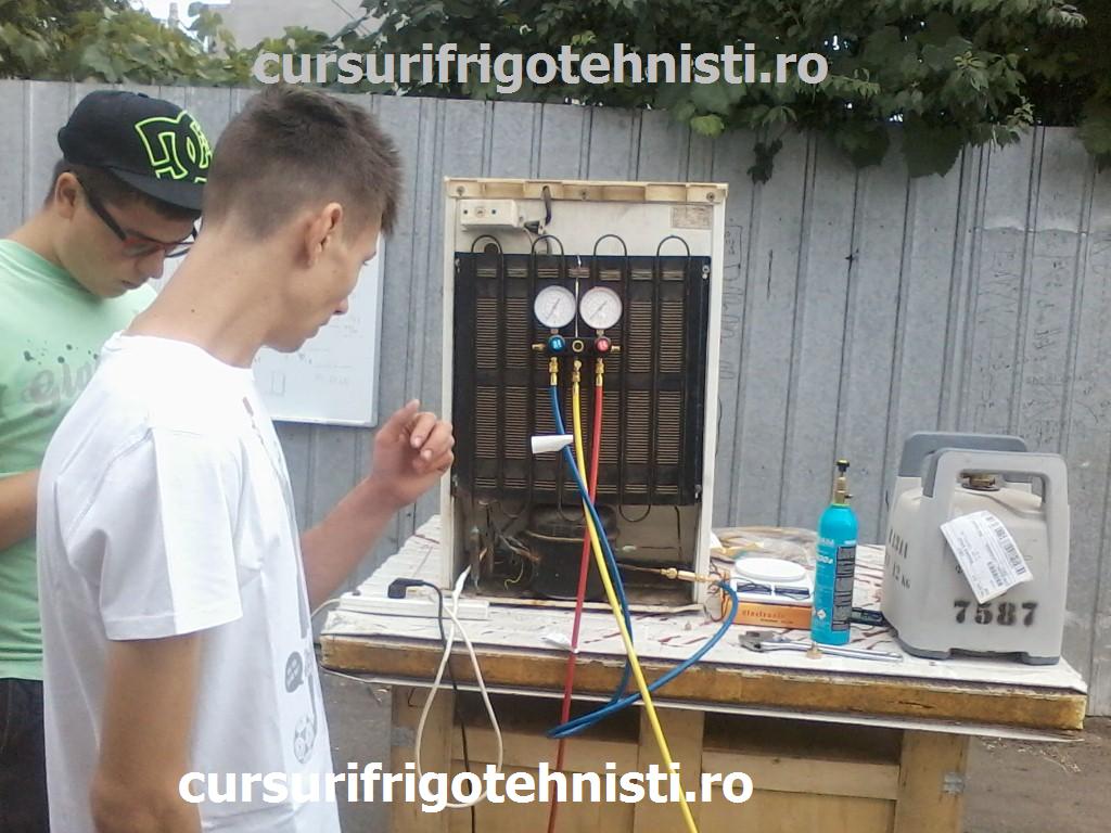 P01-07-15_10.16 (Custom).jpg