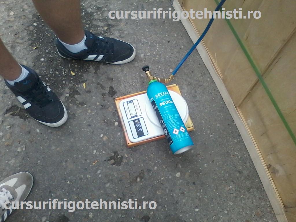 P01-07-15_09.57 (Custom).jpg