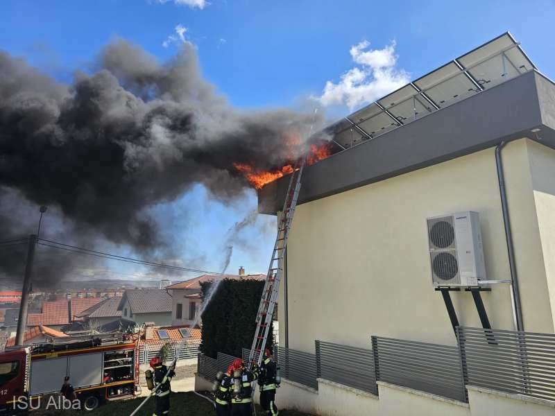 ftv luat foc.jpg