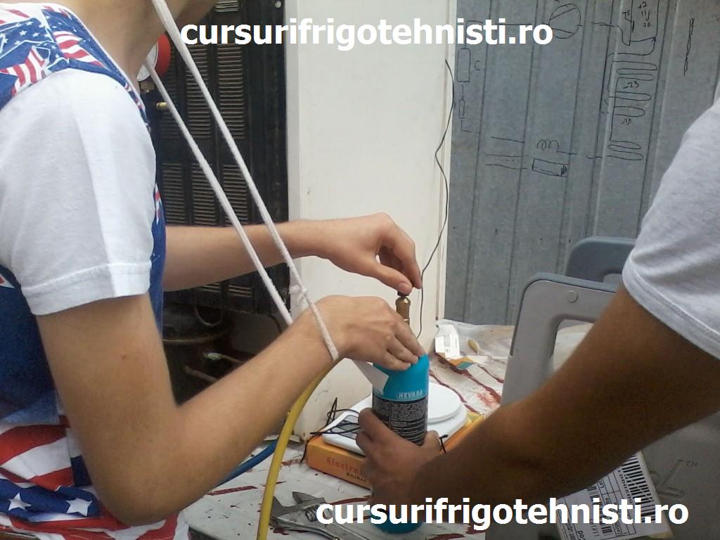 P01-07-15_10.22[01] (Custom).jpg