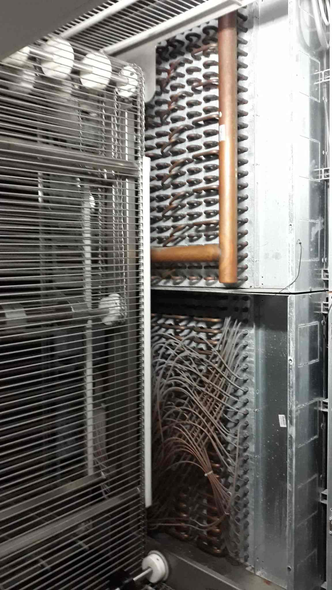 WhatsApp Image 2024-03-16 at 18.26.12 (1).jpg