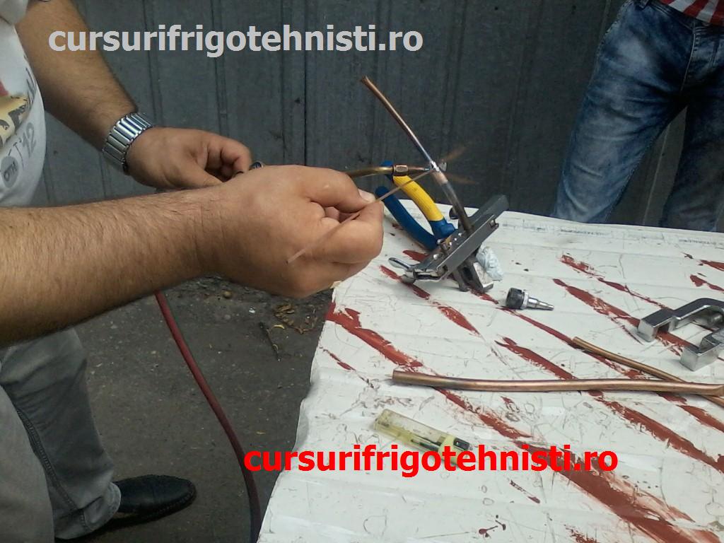 P01-07-15_11.34 (Custom).jpg