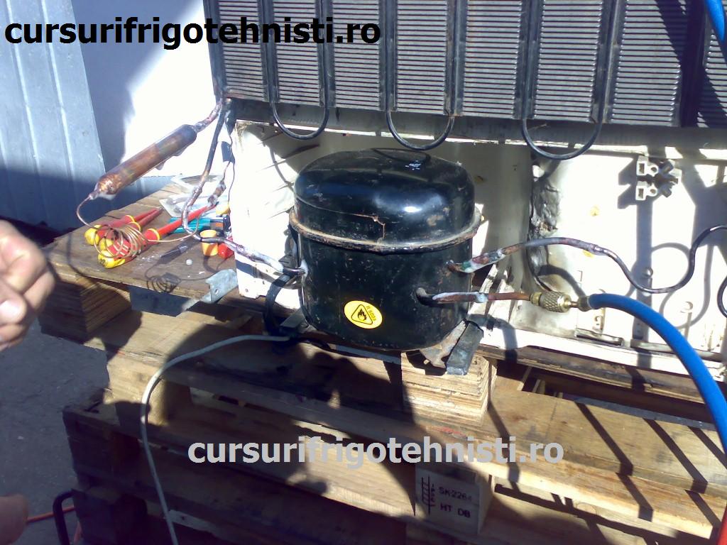 23102013242 (Custom).jpg