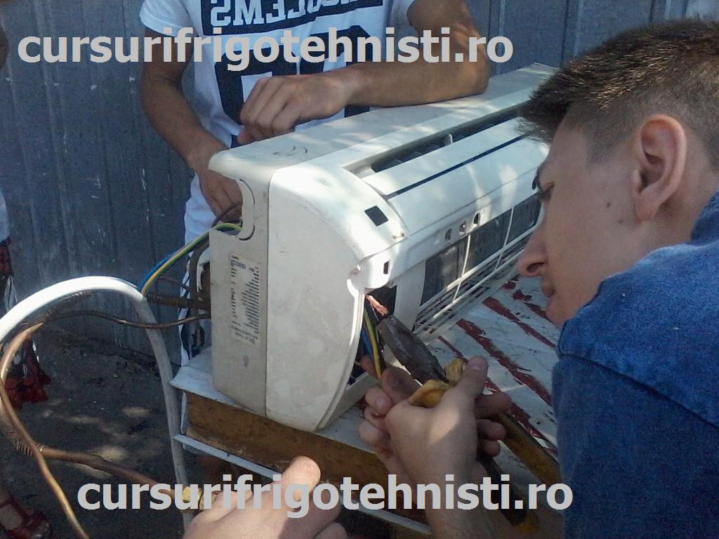 P08-07-15_10.27 (Custom).jpg