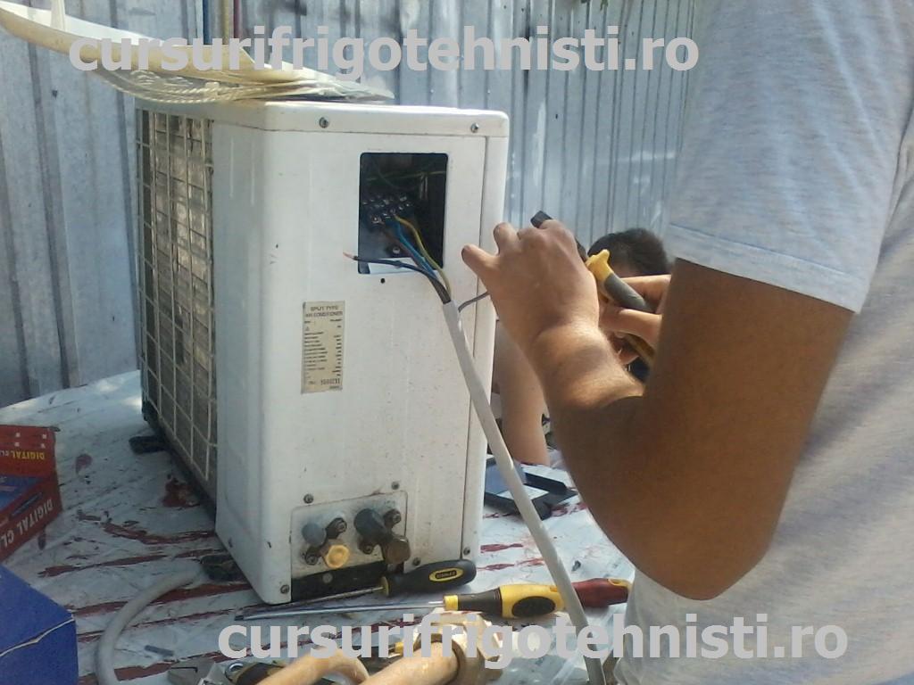 P08-07-15_10.53 (Custom).jpg