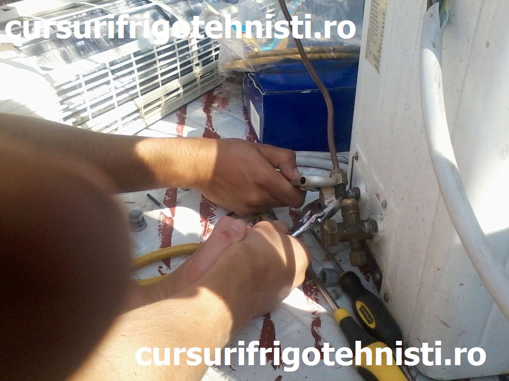 P08-07-15_11.00 (Custom).jpg