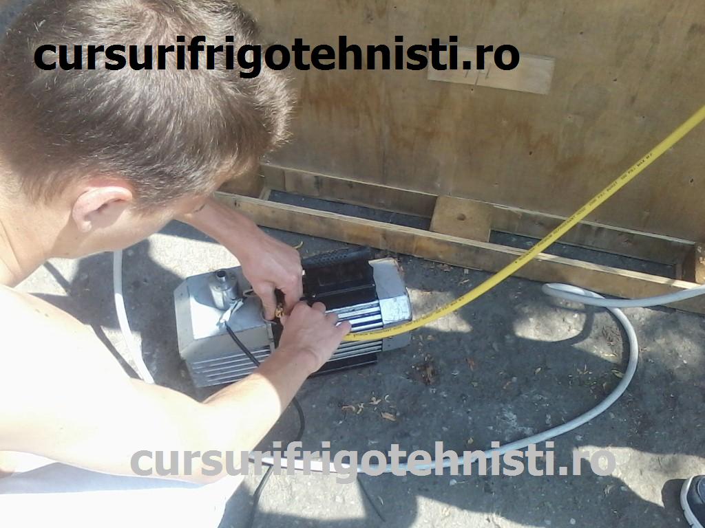 P08-07-15_11.06 (Custom).jpg