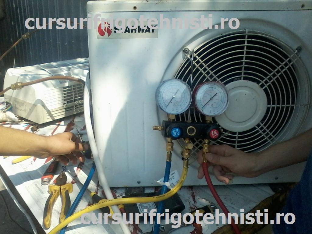 P08-07-15_11.07 (Custom).jpg