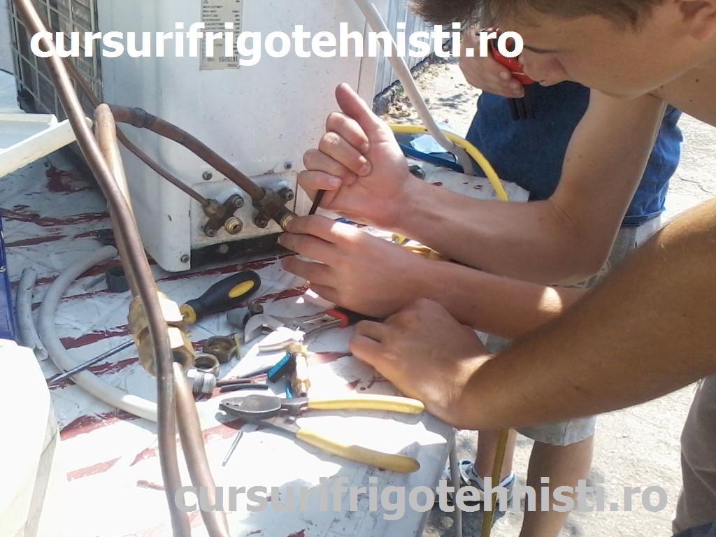 P08-07-15_11.10 (Custom).jpg