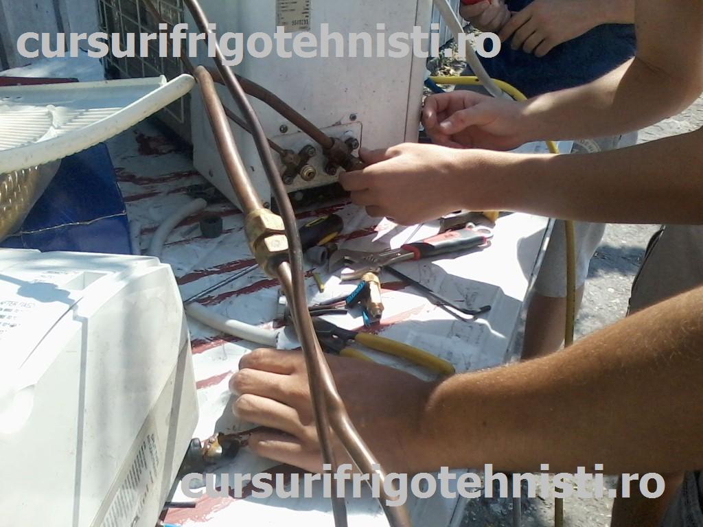 P08-07-15_11.10[02] (Custom).jpg