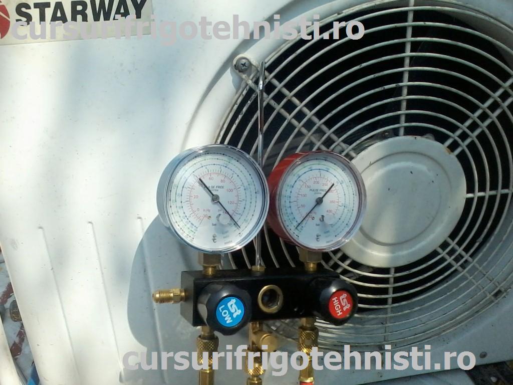 P08-07-15_11.12 (Custom).jpg