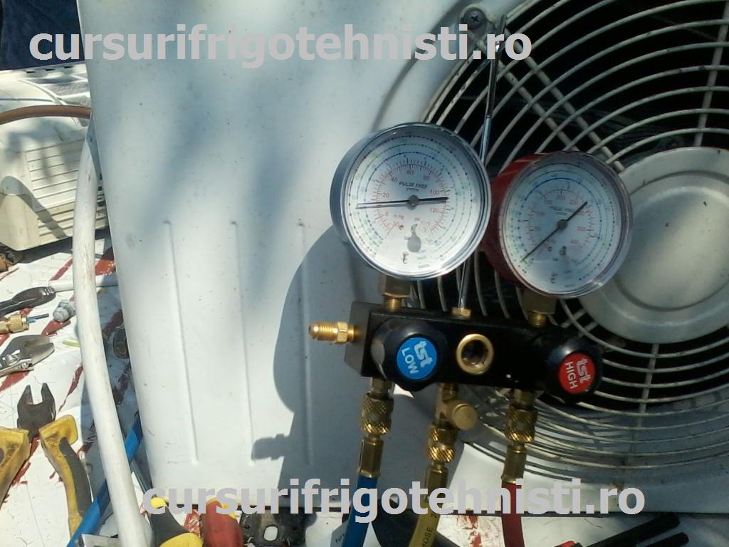 P08-07-15_11.17 (Custom).jpg