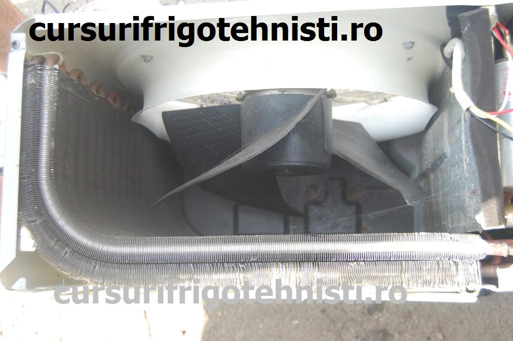 DSC_2403 (Custom).JPG