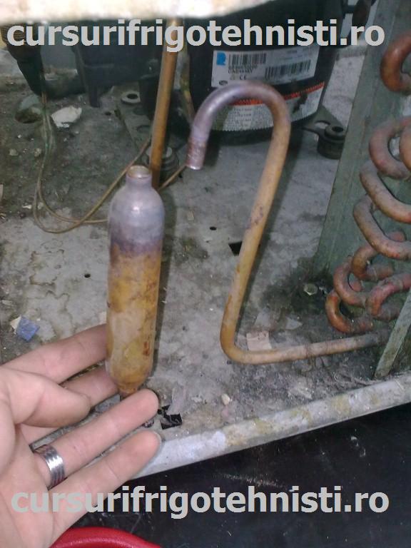 Image0303 (Custom).jpg