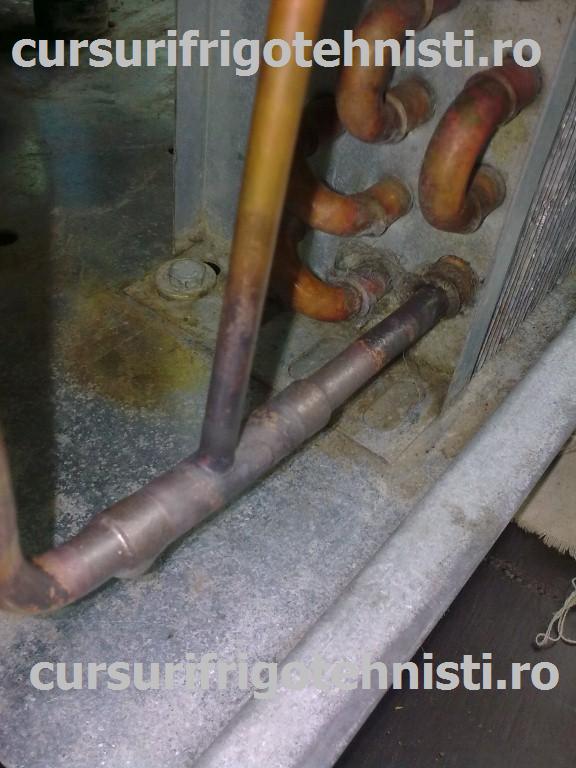 Image0314 (Custom).jpg