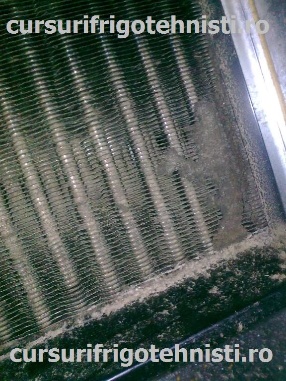 Image0316 (Custom).jpg