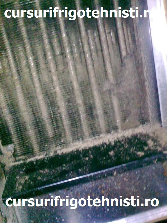 Image0319 (Custom).jpg