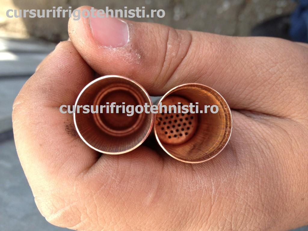 IMG_1888 (Custom).JPG