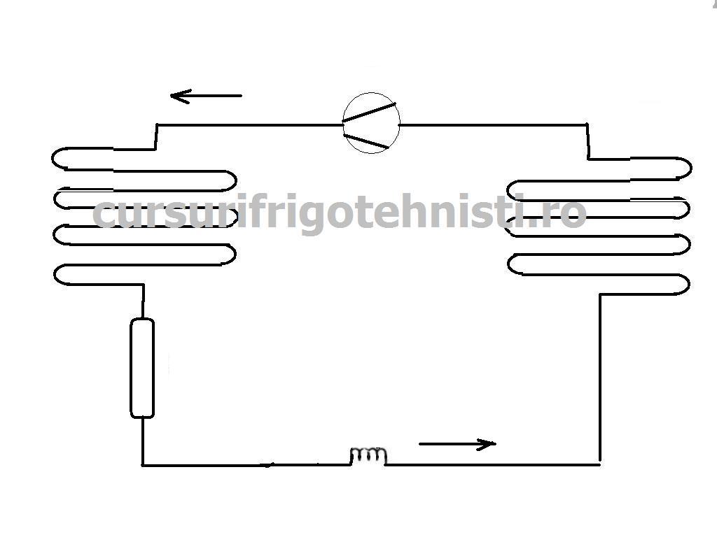 sch mas frigorifica.jpg