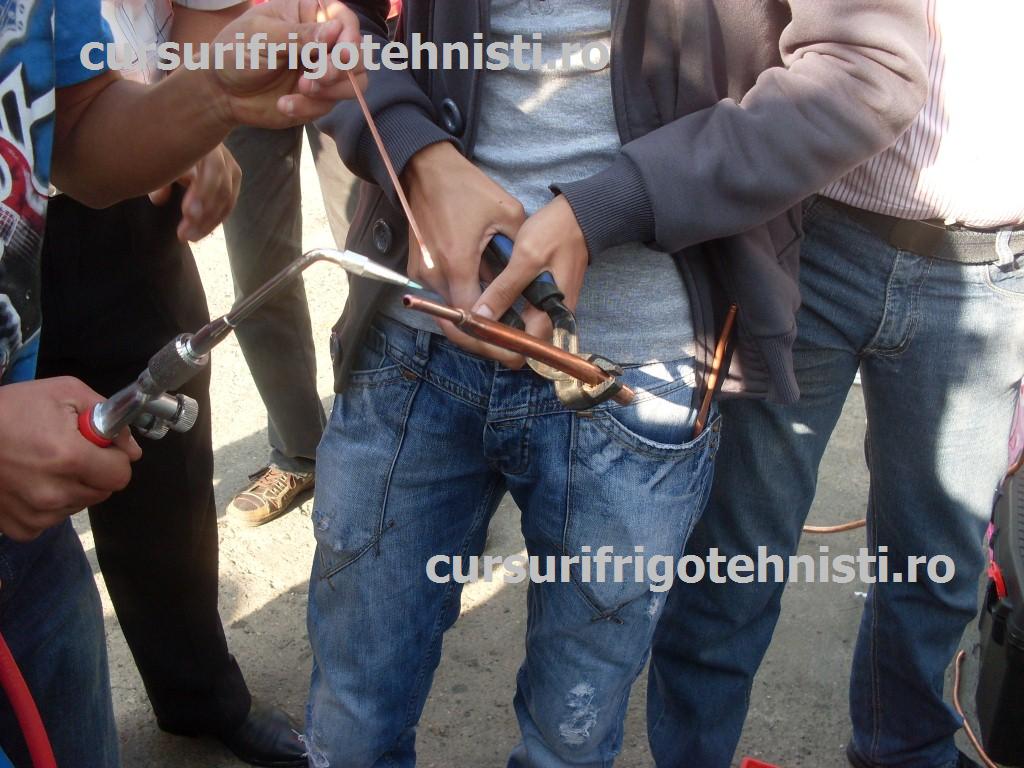 SDC11349 (Custom).JPG