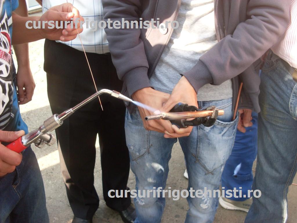 SDC11351 (Custom).JPG