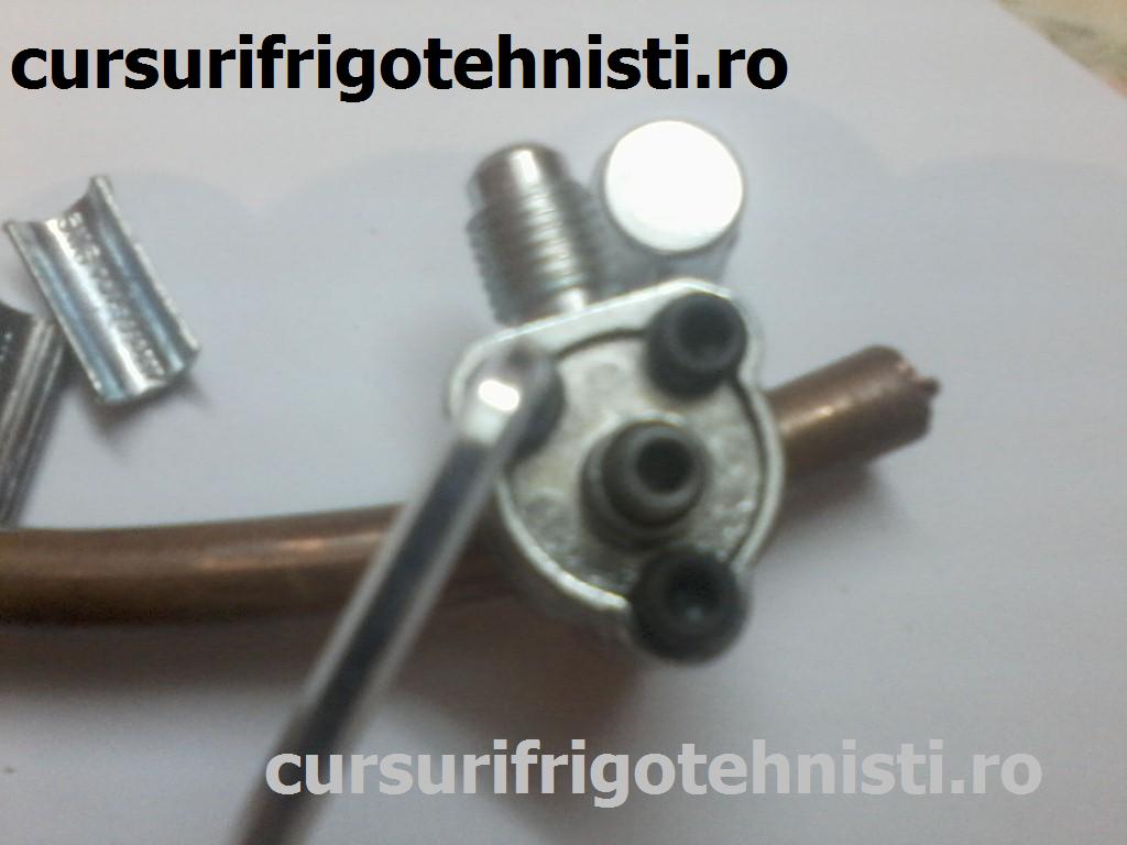 P19-07-15_18.50 (Custom).jpg