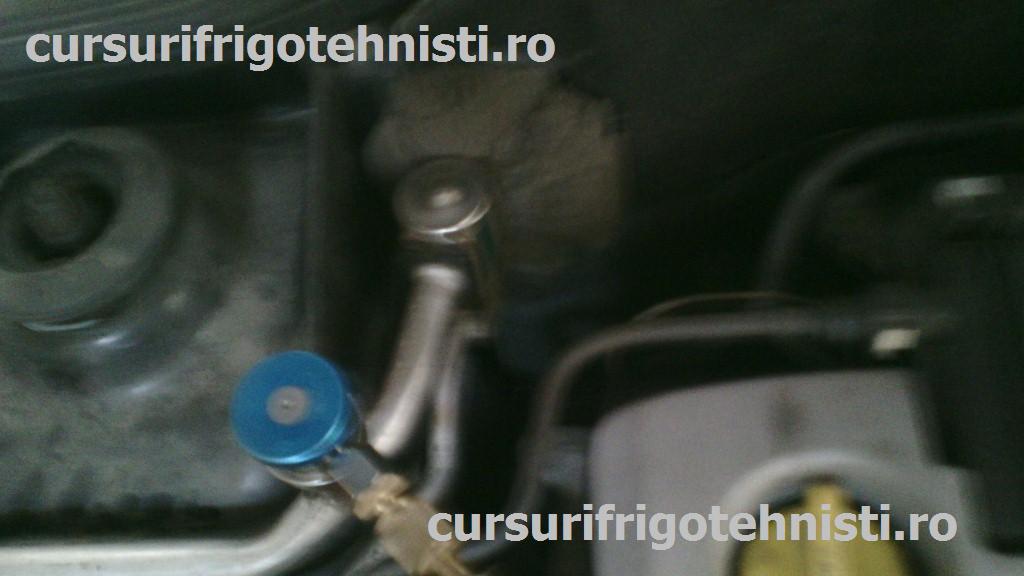 apjhpf4 (Custom).jpg