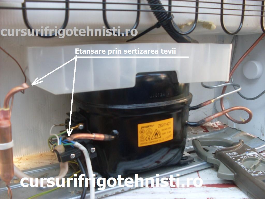 SDC10924 (Custom).JPG