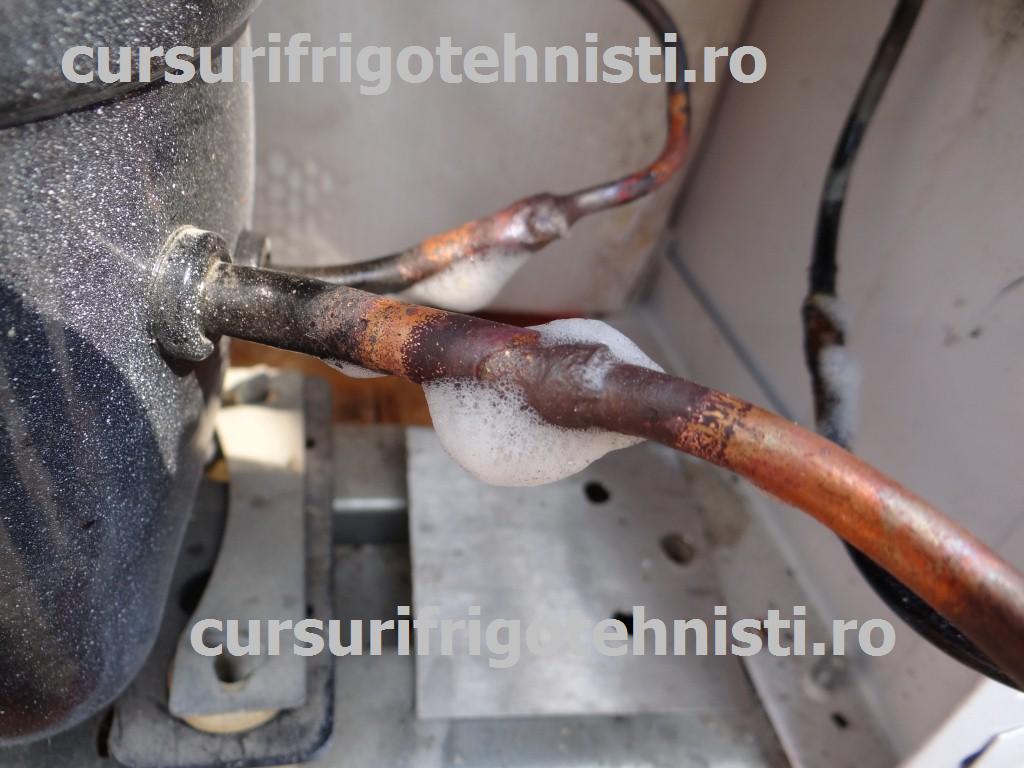 DSC06076 (Custom).JPG