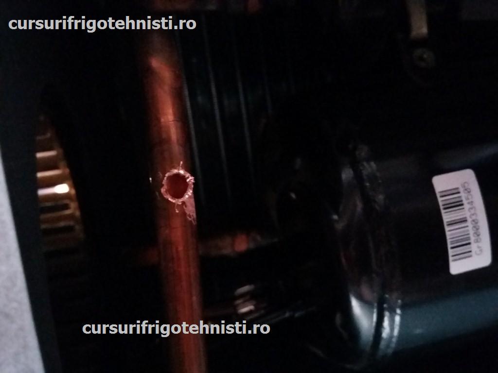 20150729_191931 (Custom).jpg