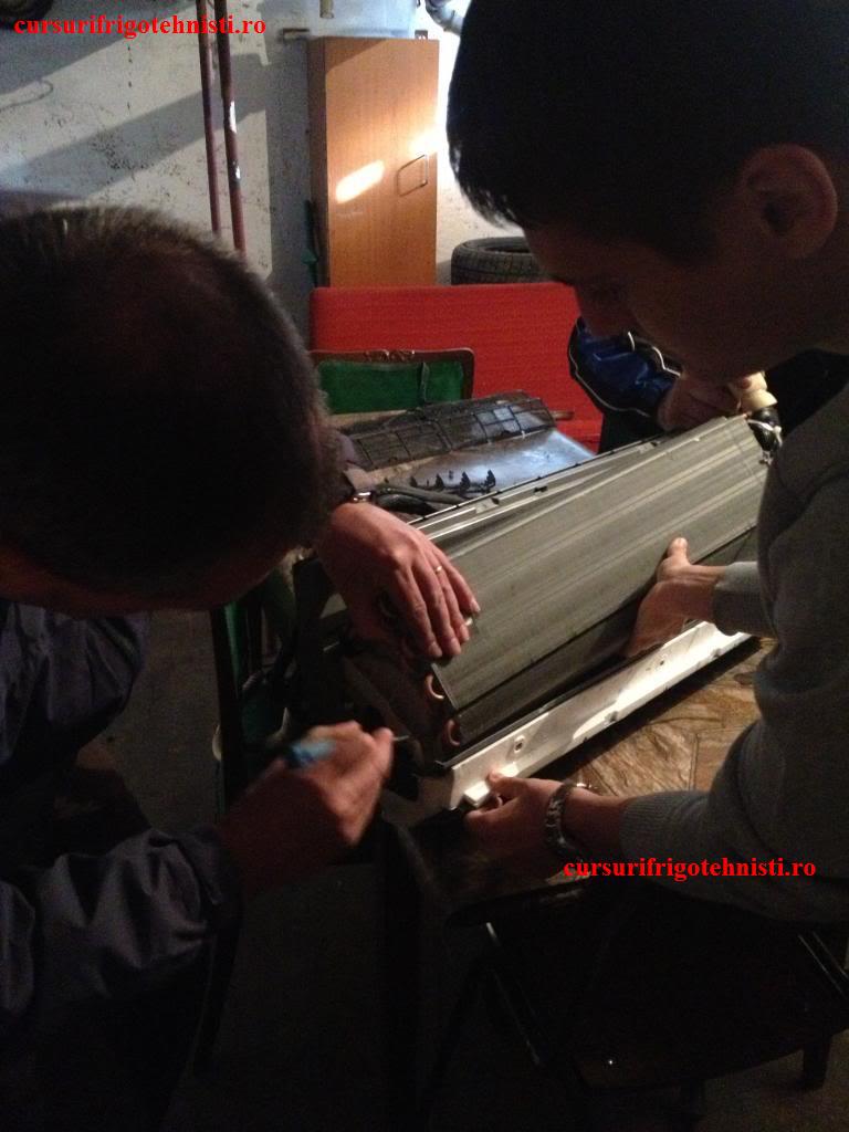 IMG_3355_zpsed67dae9.jpg