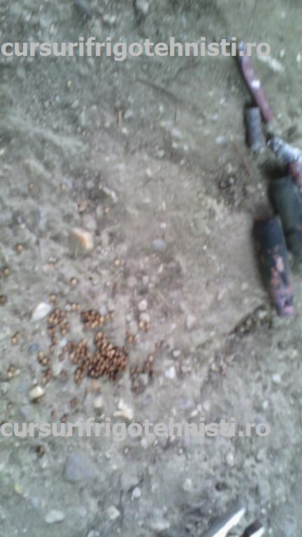 Taiere filtru (Custom).jpg