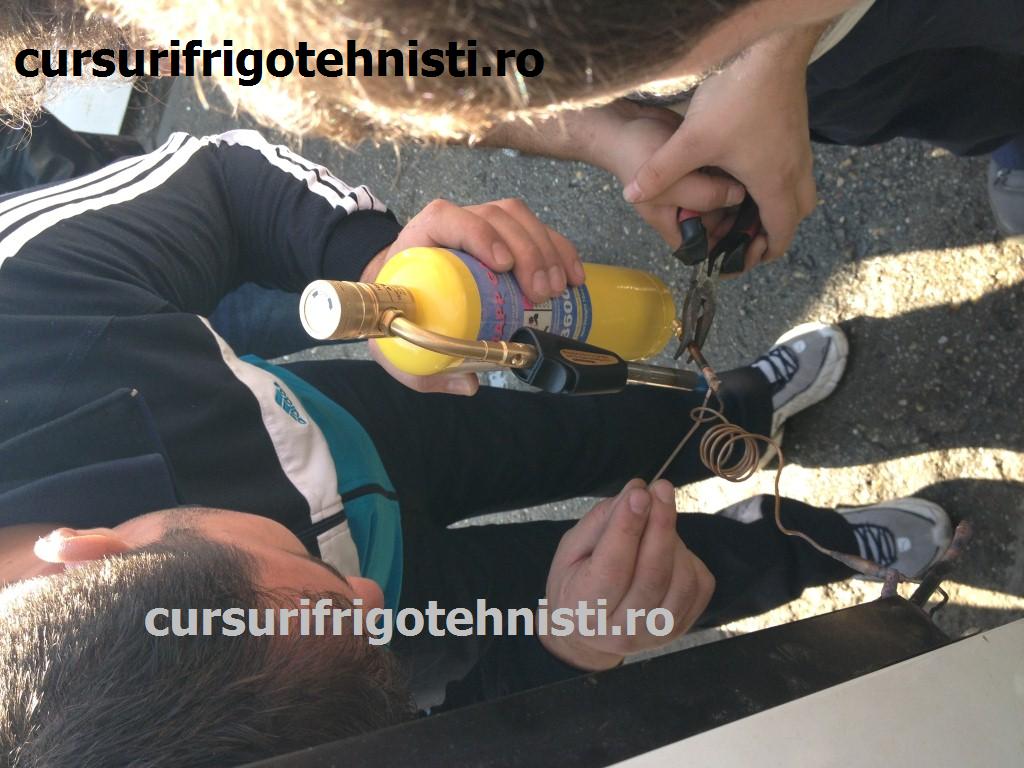 Argintare (Custom).JPG