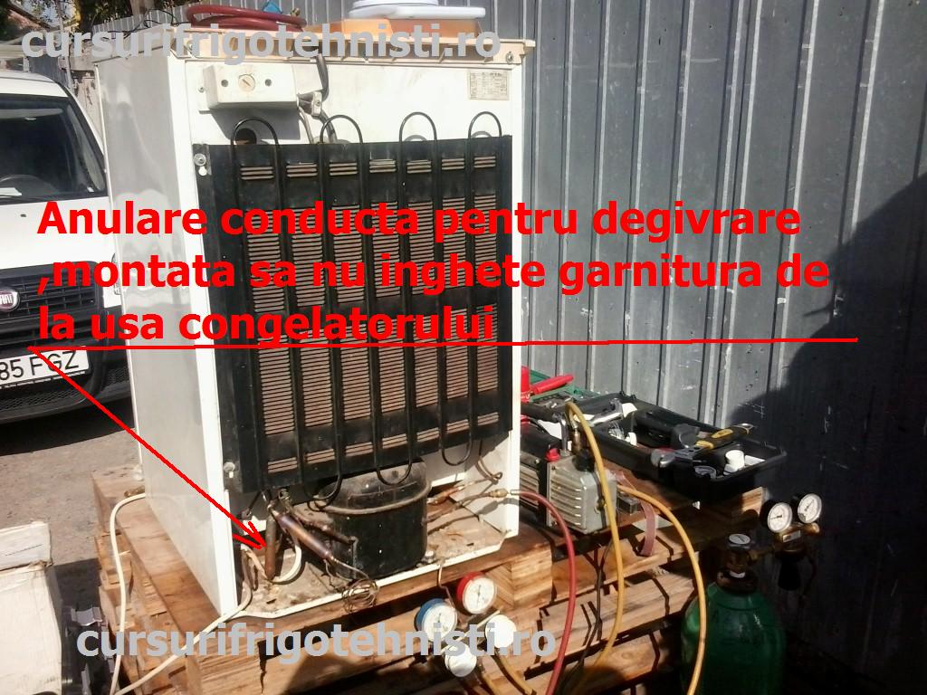 2013-09-25 11.00.49 (Custom).jpg