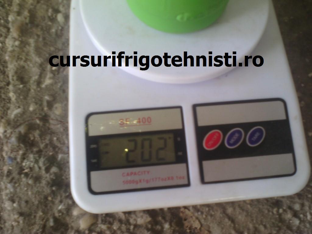 cantarul (Custom).JPG