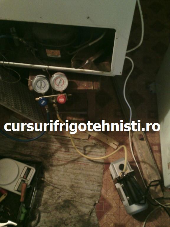 302pbfd (Custom).jpg