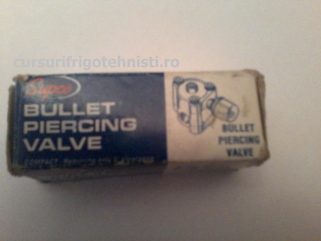 Valva perforanta de 8 (Custom).JPG