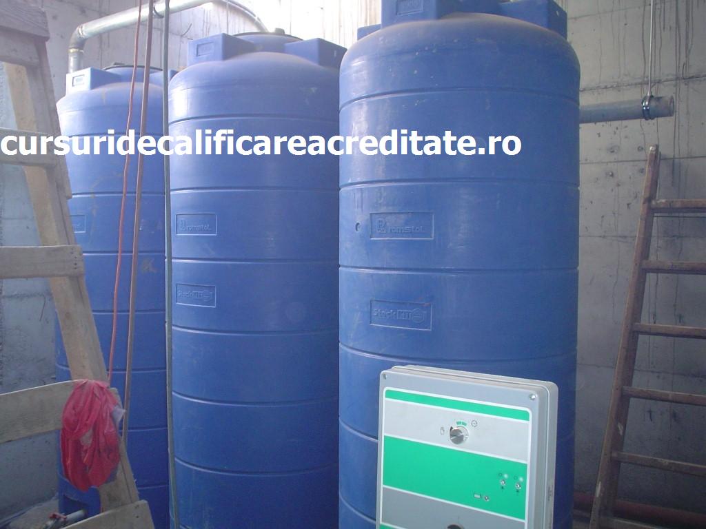 DSC00257 (Custom).JPG