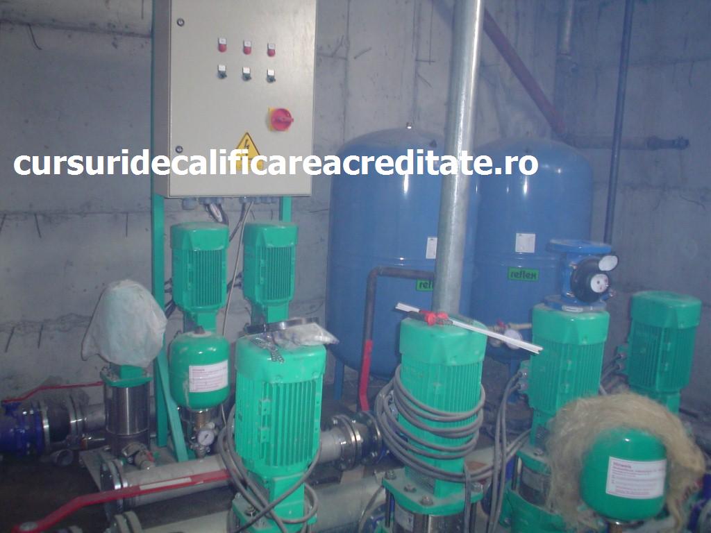 DSC00256 (Custom).JPG