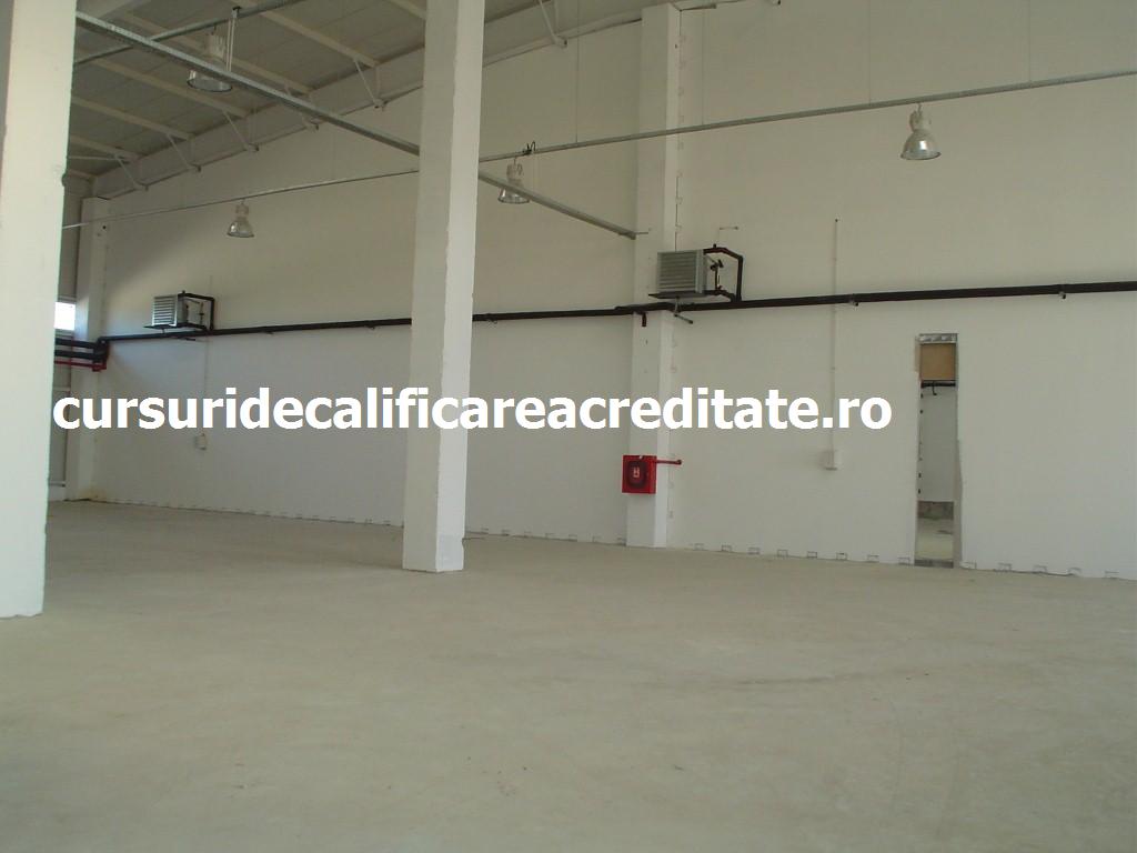 DSC00255 (Custom).JPG