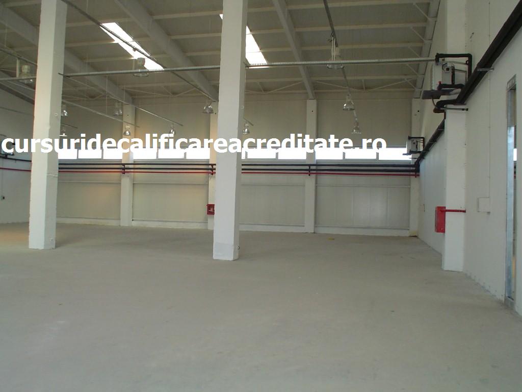 DSC00254 (Custom).JPG