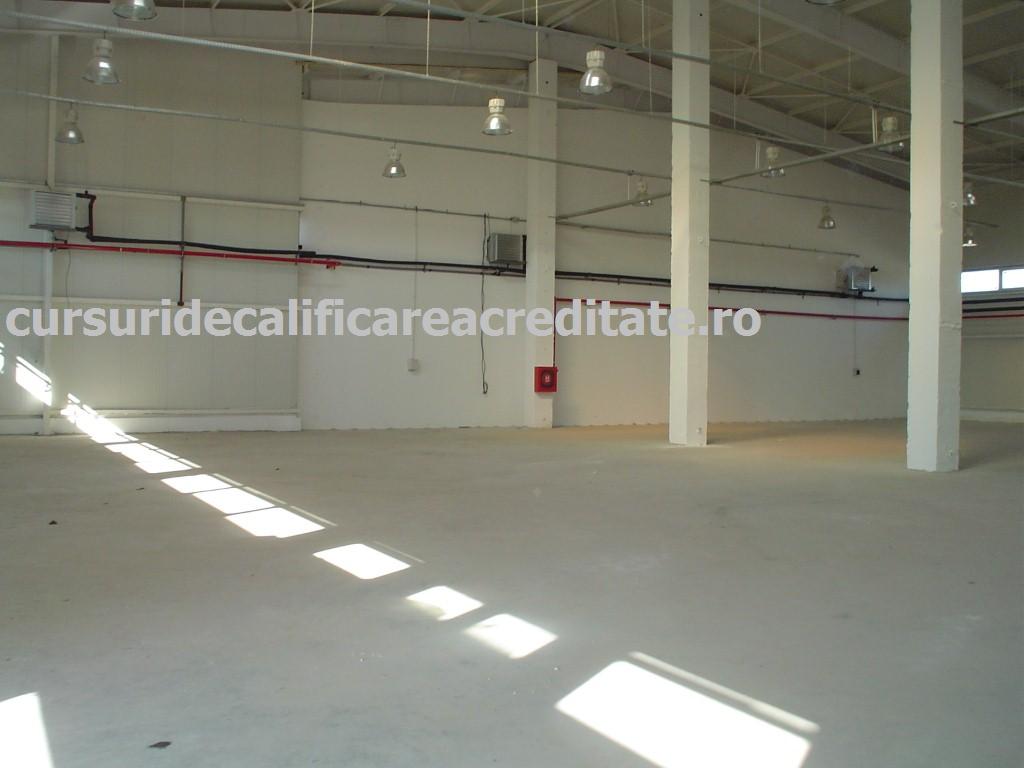 DSC00253 (Custom).JPG