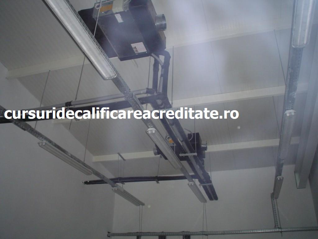 DSC00249 (Custom).JPG