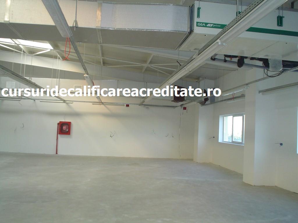 DSC00247 (Custom).JPG